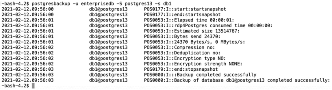 Database-Level Backup